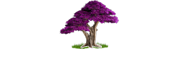 Serenity Point Hospice, LLC.